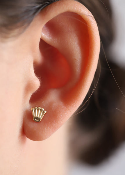 Collection image for: Aretes
