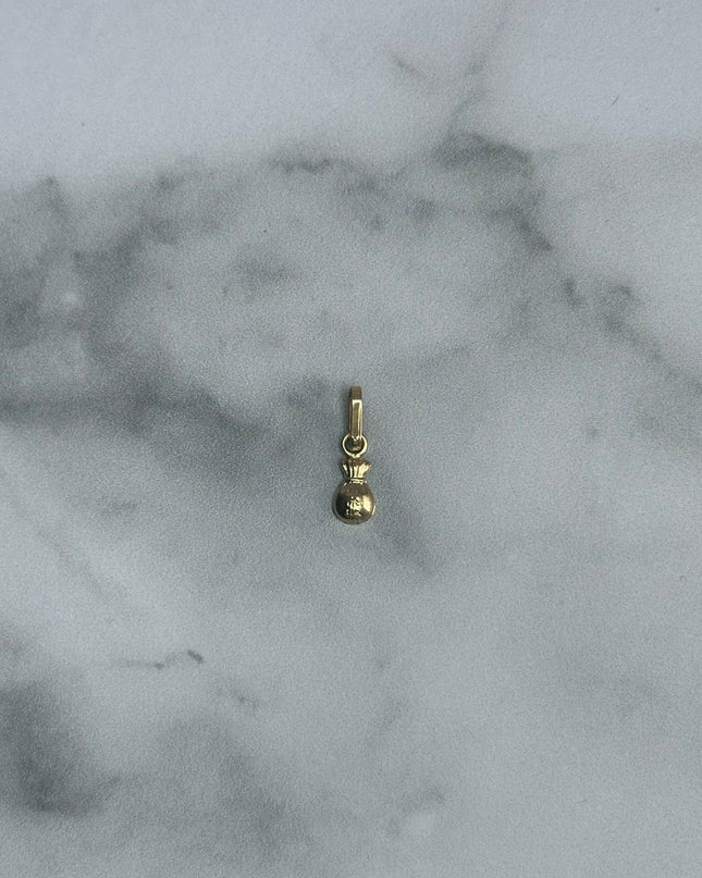 Dije bolsa de dinero / 0,22 Gr / 1,0 Cm / Oro amarillo 18k